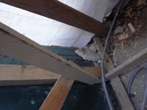 R0011491_800x600